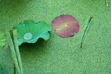 剧情驱动生活模拟游戏《尾巴之旅》公布